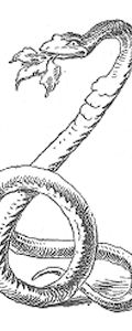 The three snake-leaves