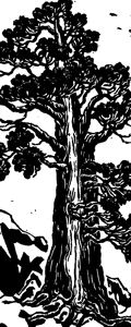 ねずの木の話 - グリム兄弟
